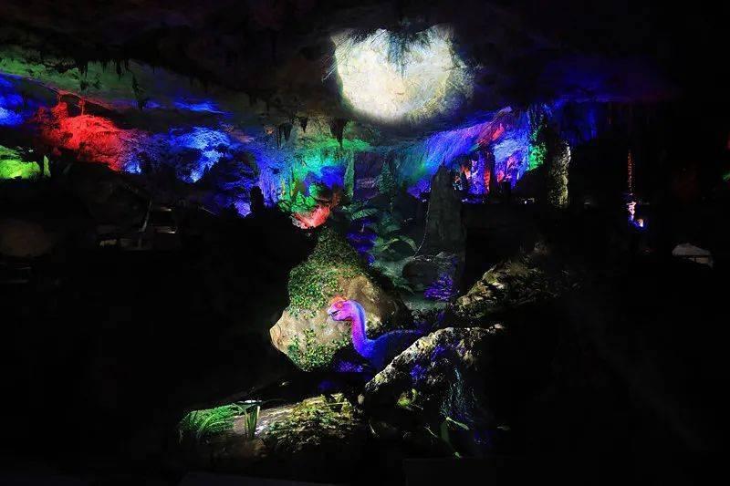 达州：建设秦巴森林“四库” 助力城乡融合发展